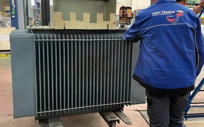 Les Différents Types de Relais de Protection Haute Tension